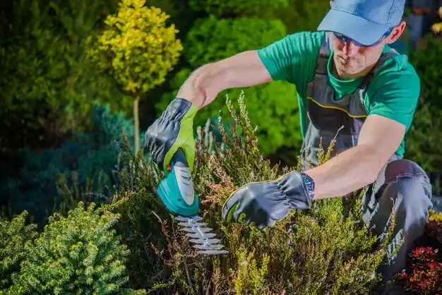 landscaping services McArthur